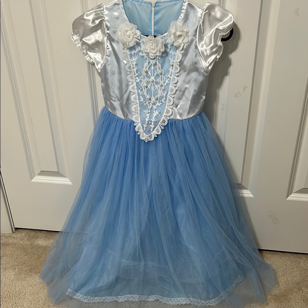 Cinderella Princess Costume